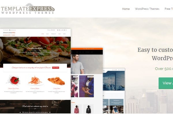 template express premium wordpress themes provider