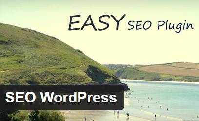 seo wordpress