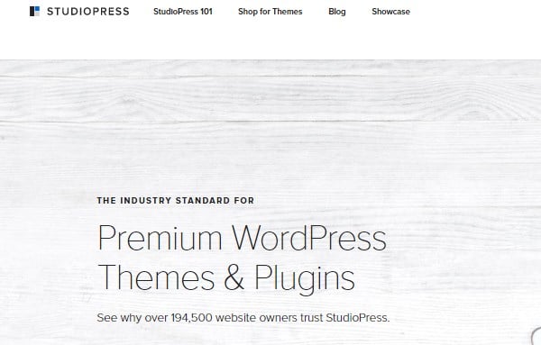 Studiopress for 
best WordPress theme companies