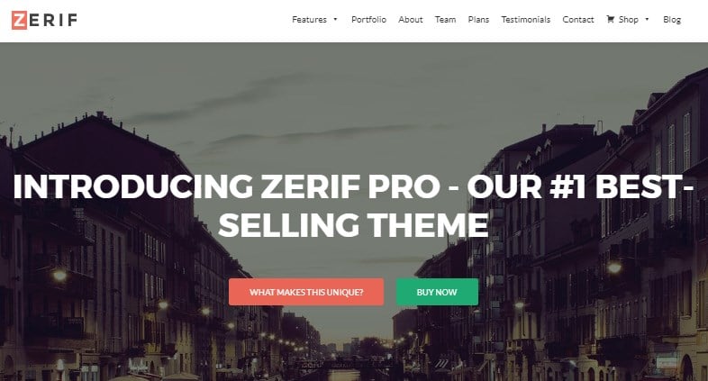 Zerif lite pro theme