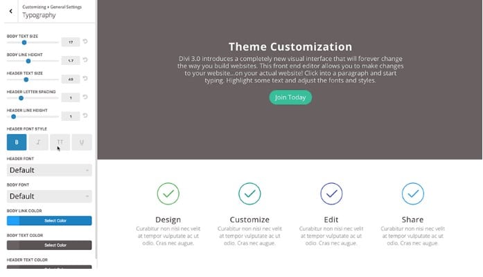 Divi theme review - customization