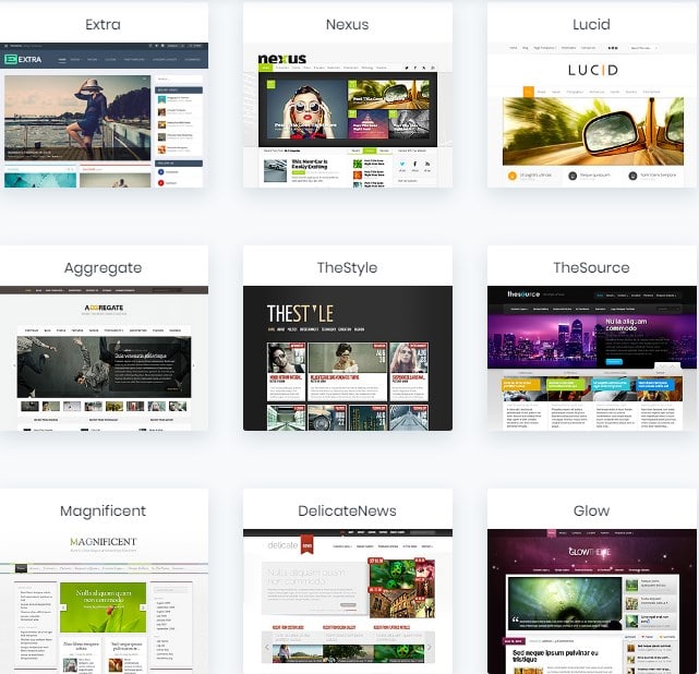 Elegant themes examples