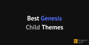 Best Genesis Child themes