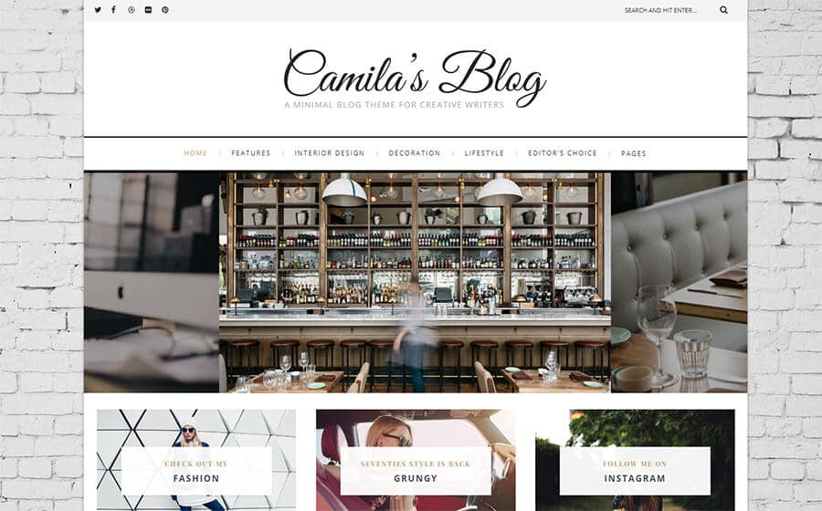 Camila for modern travel blog wordpress theme