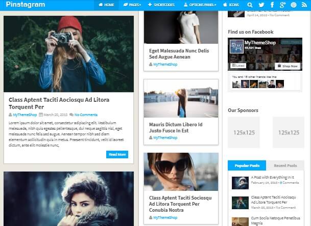 Pinterest wordpress themes