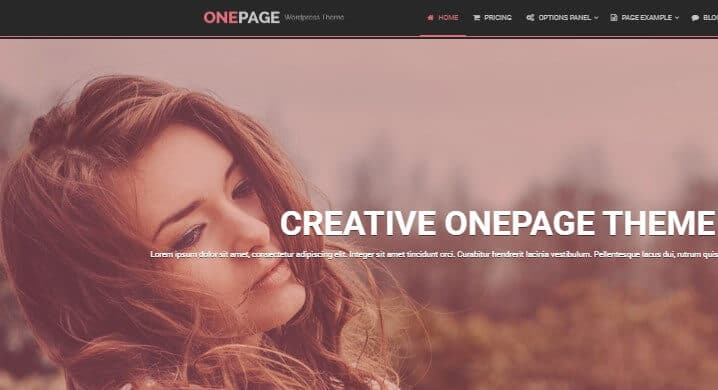 Onepage template image