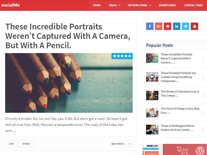 Social me wordpress theme demo