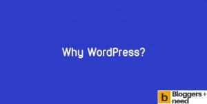Image showing why use wordpress text in blue color background