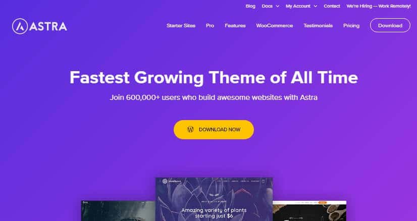 Astra - best multipurpose wordpress theme