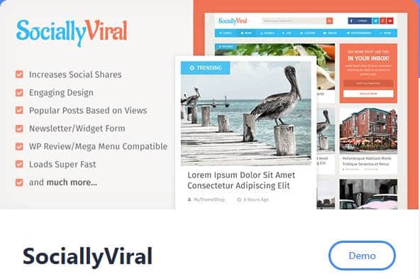 Top wordpress theme_viral