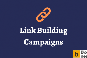 Link Building for Beginners: How Do You Make A Link Building Campaign