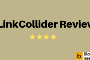 LinkCollider Review