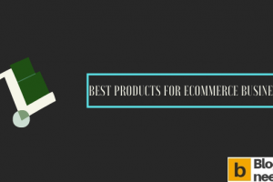 Best Products for eCommerce Business