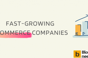 Fast-Growing Ecommerce Companies in the World