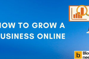 How to Grow a Business Online?