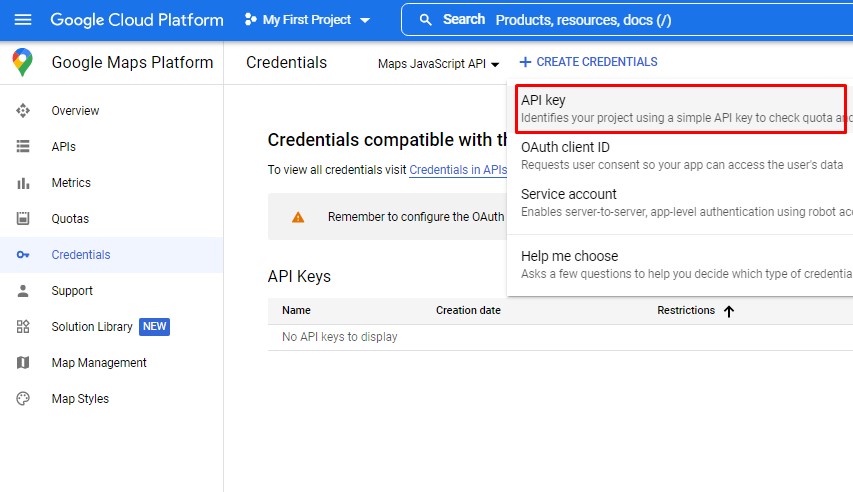 Google Maps Platform_Create Credentials_API Keys