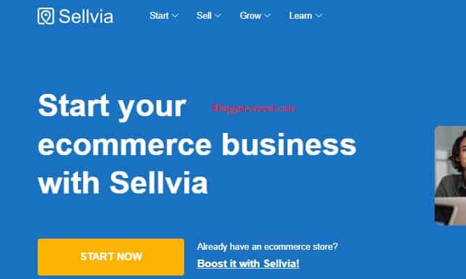 Sellvia homepage