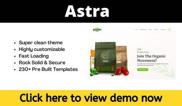 Astra ecommerce theme WordPress