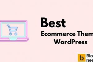 Best Ecommerce Themes WordPress