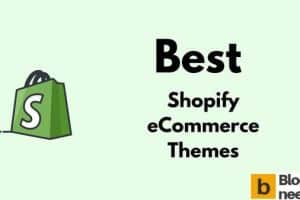Best Shopify eCommerce Themes