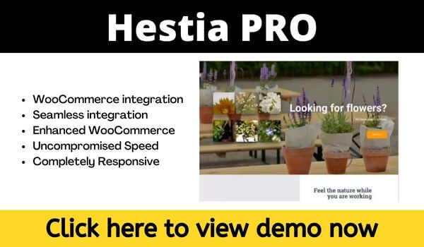 Hestia pro ecommerce theme wordpress