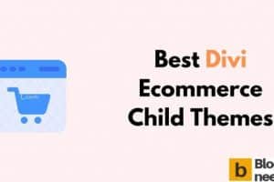 Best Divi Ecommerce Child Themes