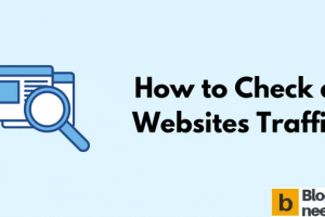 How to Check a Websites Traffic