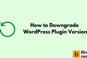 How to Downgrade WordPress Plugin Version