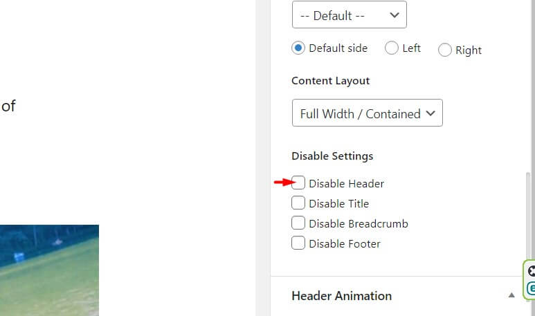 disable header