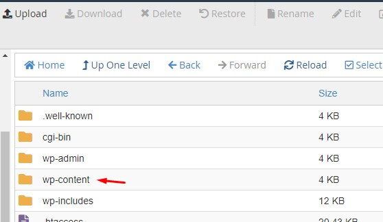 wp-content