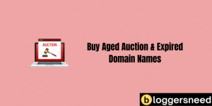 buy aged auction expired domain name