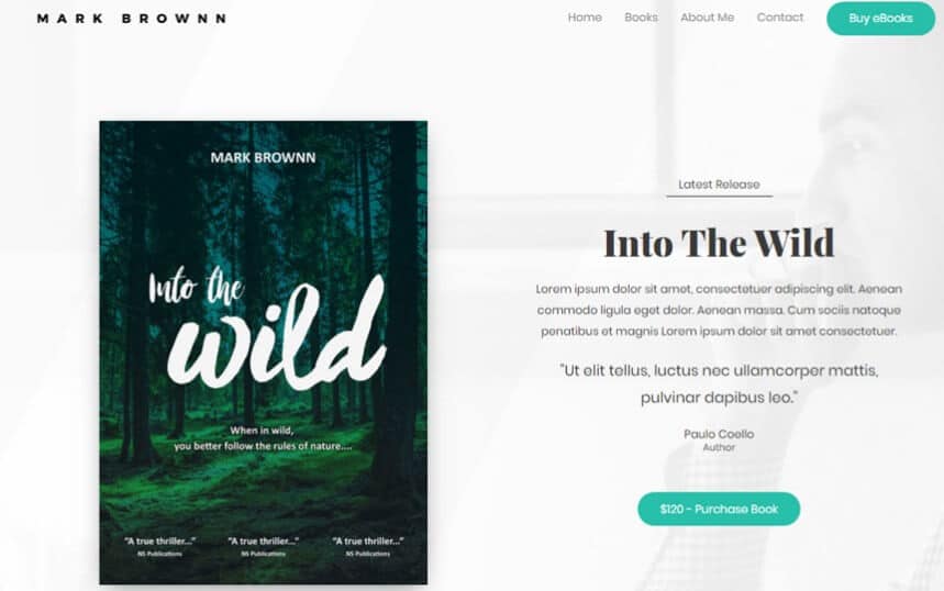 Top author wordpress theme