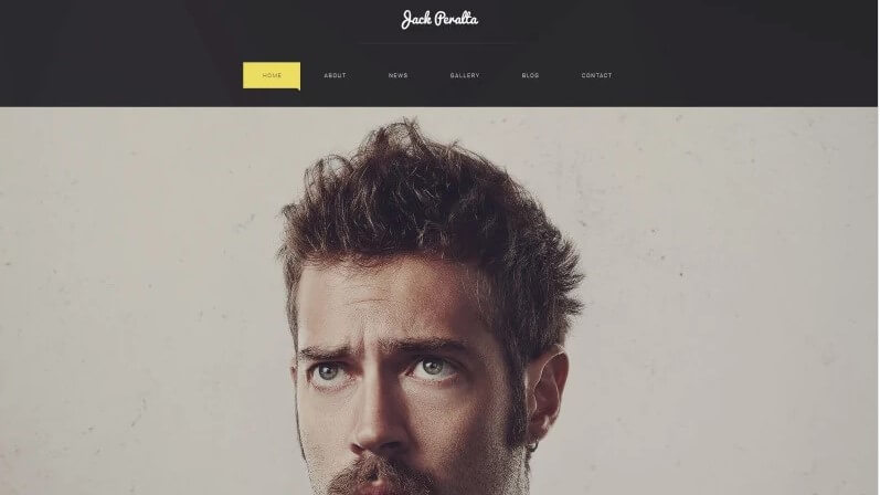 Freelance writer wordpress theme