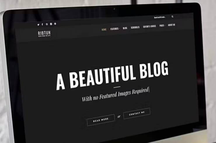 Ribtun - wordpress blog theme for writers