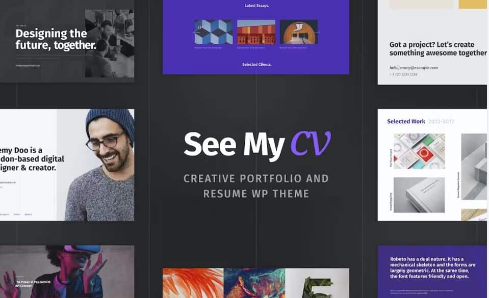 See my cv resume wordpress theme