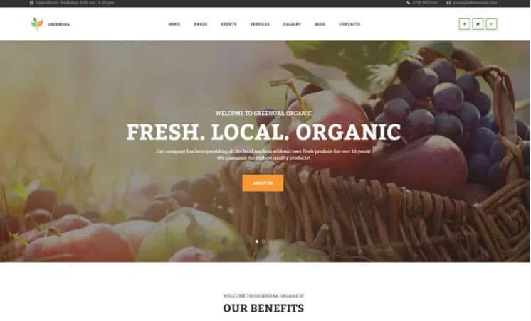 Greenora - Organic Farming Agriculture WordPress Theme