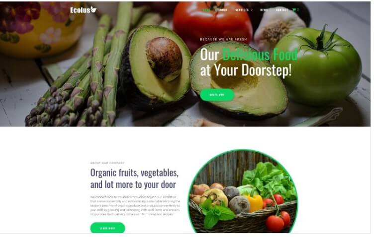 Ecolus organic food delivery ecommerce wp theme