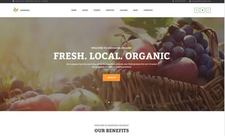 Greenora - organic farming agriculture wordpress theme