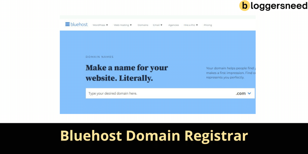 Bluehost domain