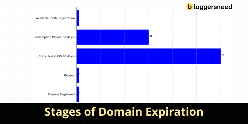 Stages of Domain Expiration