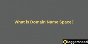 Domain name space