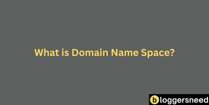 Domain name space