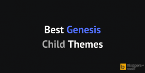 Best genesis child themes