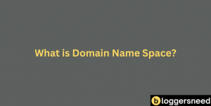 Domain name space