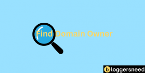 Find domain owner