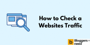 How to check a websites traffic