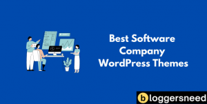 Software company wp themes