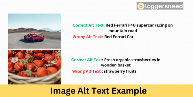 Example on how to write image alt texts