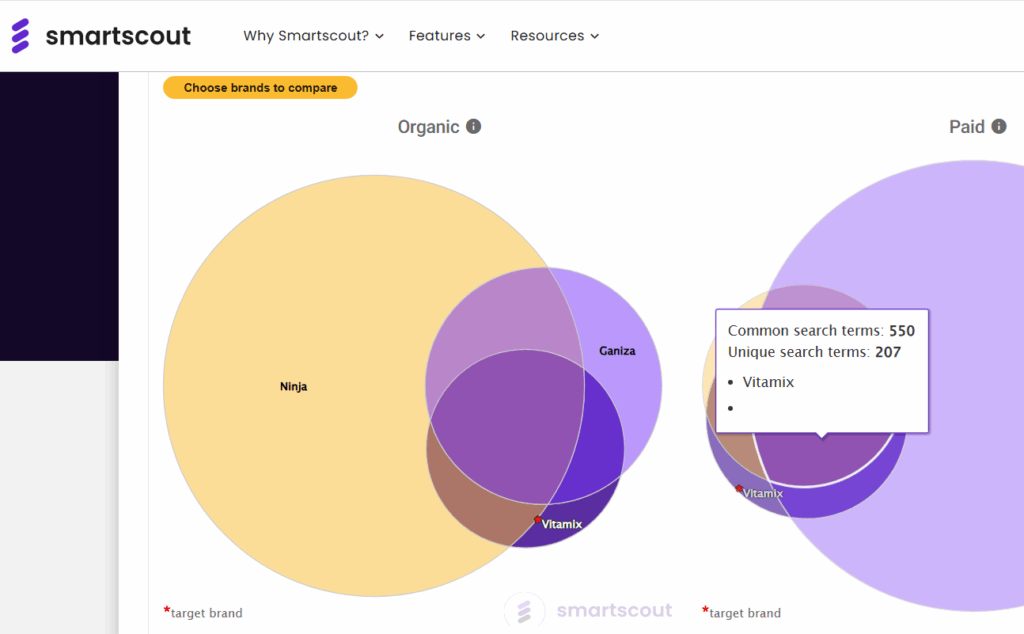 Smartscout keyword detective