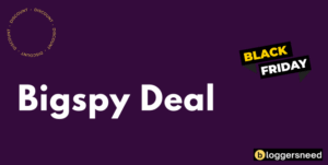 Bigspy black friday deal